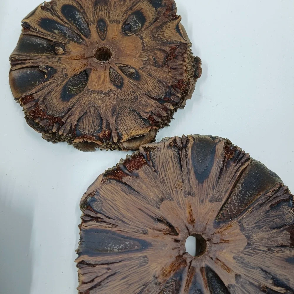 COASTERS Banksia Pod Set of 6 Brown‎